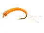 Alosa Agone Hegene MIXED GLOW COLORS