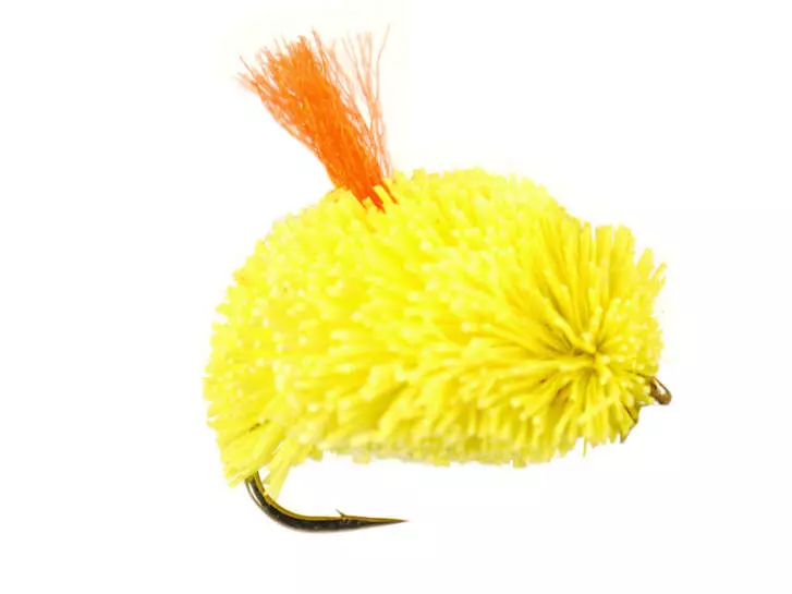 Yellow Bisquit 10