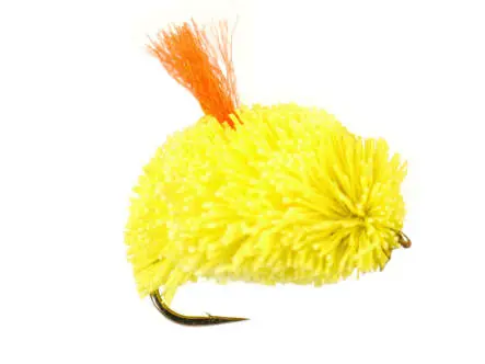 Yellow Bisquit 10