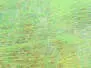 ANGEL WING SHEETS hotfly - 150 x 100 mm - 2 pc. - lime...