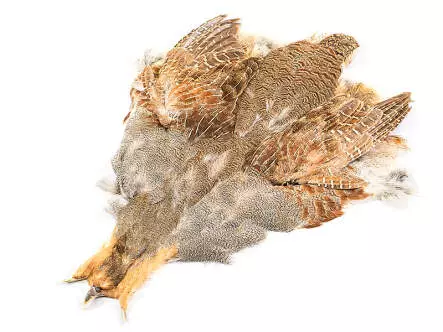 REBHUHN (perdix perdix) gold selection hotfly - made in...