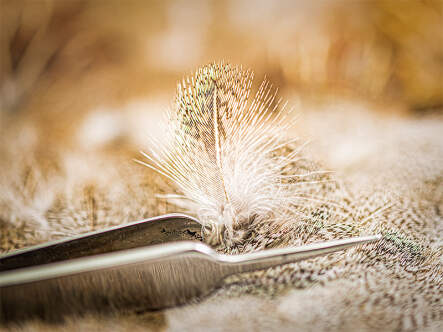 REBHUHN (perdix perdix) gold selection hotfly - made in...