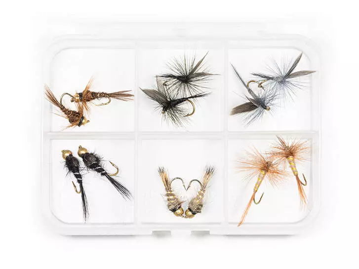 Selezione mosche TROTA ESSENTIAL - 12 mosche con scatola