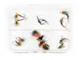 Selezione mosche hotfly TROTA ESSENTIAL - 12 mosche con scatola