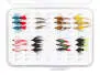 Set NASSFLIEGEN EVERY DAY - 24 Fliegen mit Box
