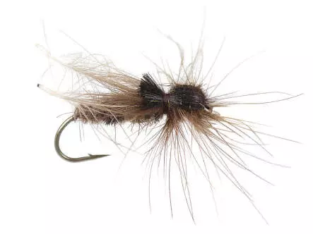 Brown CDC Hopper
