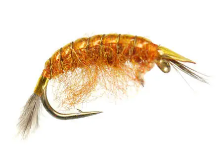 Classic Gammarus Fluo Orange