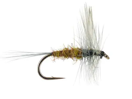 Brown Olive Dun 14