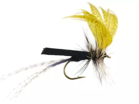 Black Yellow Mayfly