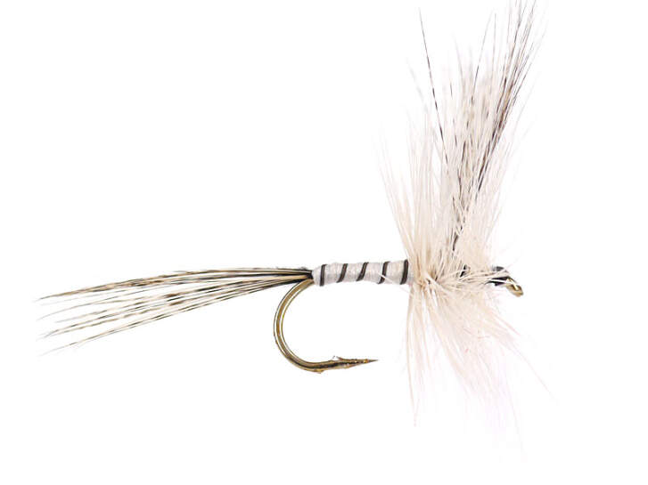 Raymarine Dragonfly 12 Mosche Artificiali Per Pesca A Mosca - Grey Drake, Green Drake, Mayfly Spent, Misura 10 Mosche Per Trote Dry Fly - Foto 11