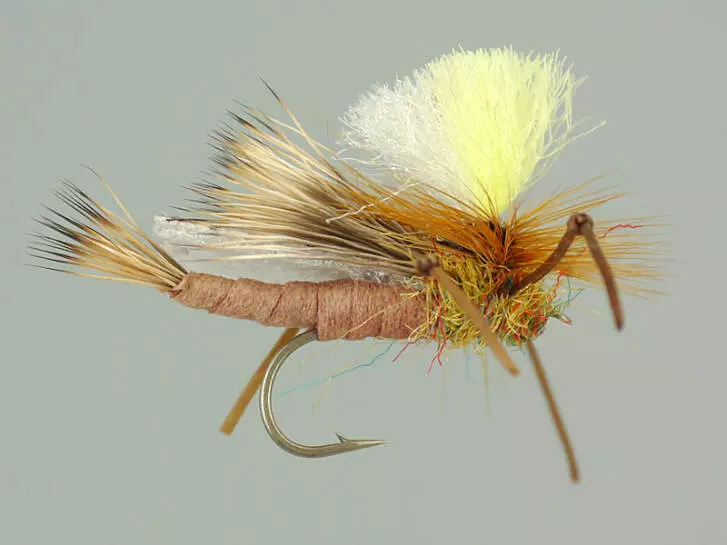 Trinas Carnage Attractor - Tan