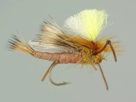 Trinas Carnage Attractor - Tan