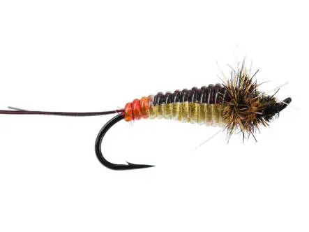 Giant Yellow Bodyglass Stonefly