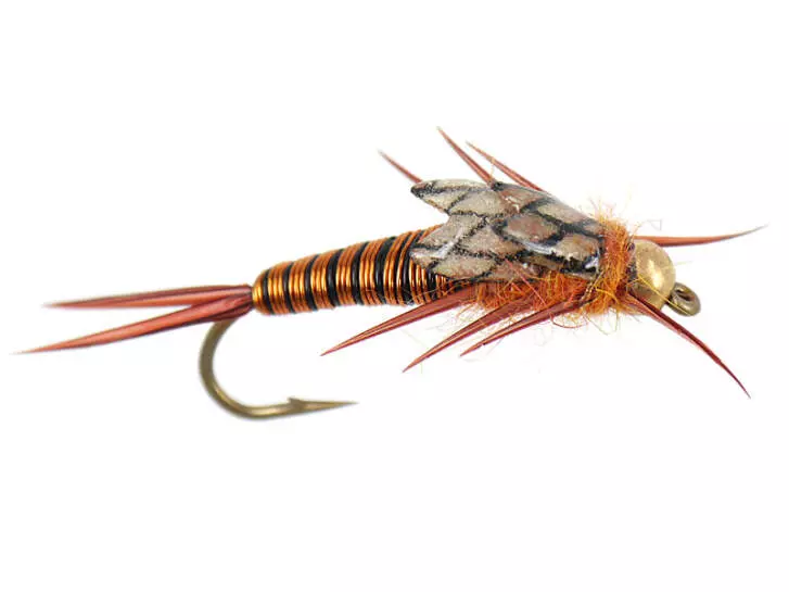Copperback Stone - Copper