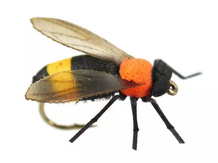 X-true Bumble Bee Orange