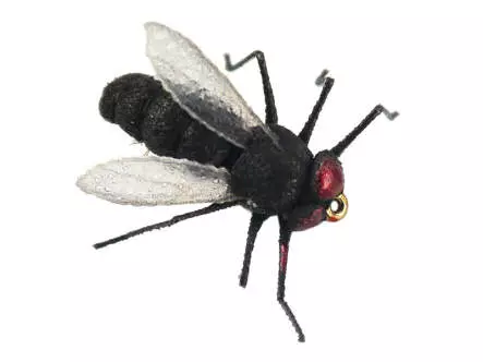 X-true Black Fly