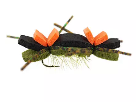 Tschernobyl Ant Olive