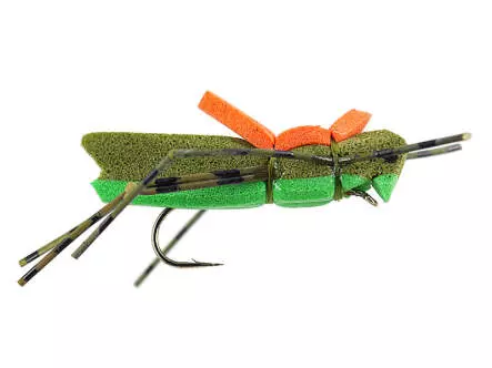 Morrish Hopper Olive