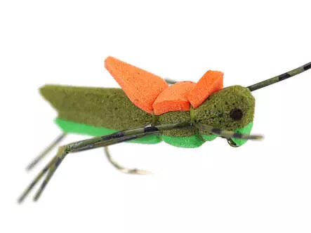 Morrish Hopper Olive