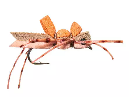 More-or-Less Hopper - Peach