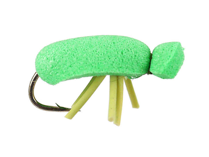 Metta Del Coleottero Degli Scarabei Fotografia Stock - Immagine di Metta Del Coleottero Degli Scarabei Fotografia Stock - Immagine di