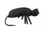 Black Beetle
