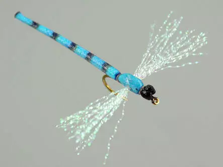 Dragonfly blue 10