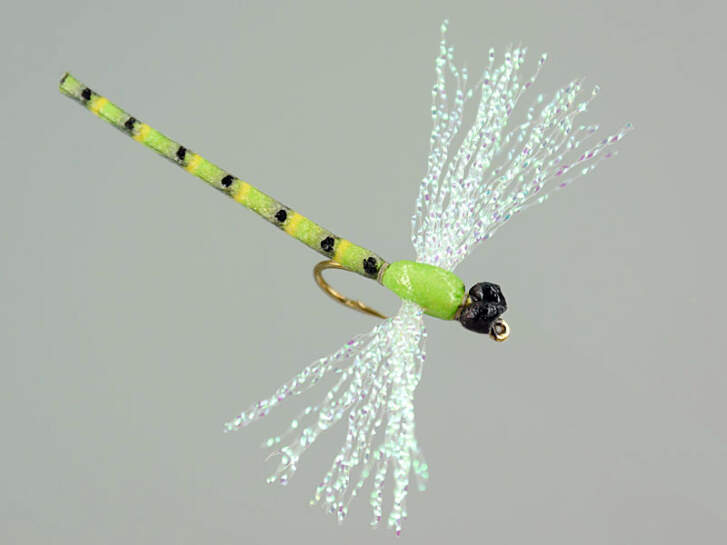 Dragonfly green 10