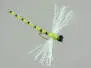 Dragonfly green