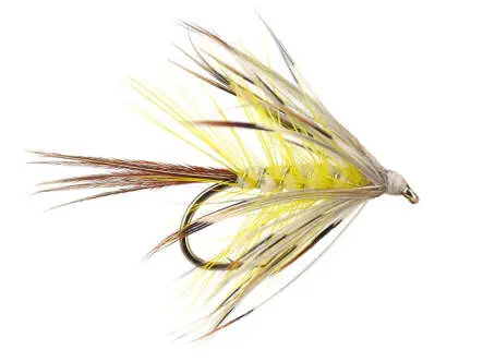 French Partridge Mayfly