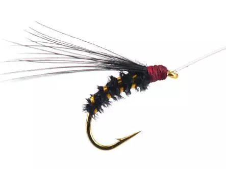 Gold Selection BI Black 16