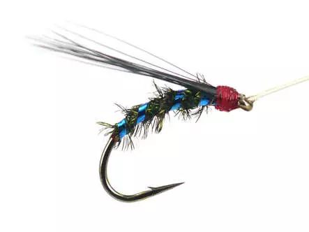 Riofranz Premium Blue 16
