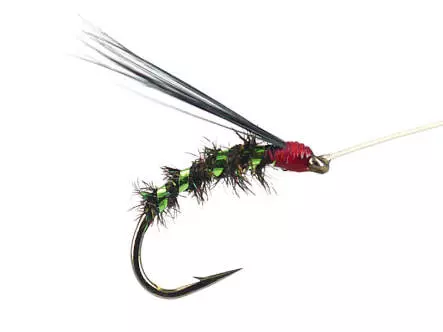 Riofranz Premium Green 16