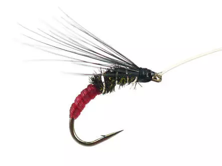 Franz Bipeack Red 16