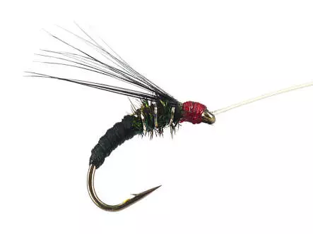 Franz Bipeack Black 16