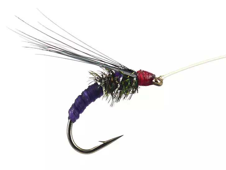 Franz Bipeack Violet 16