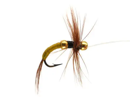 Yellow Double BH 16