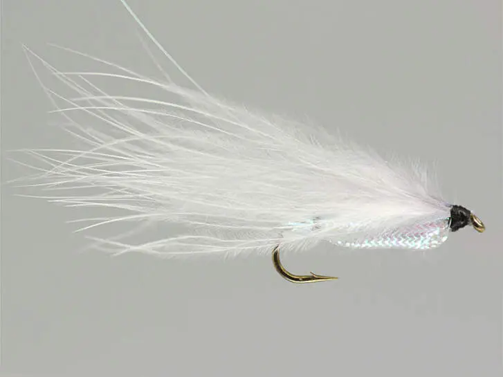 Rickards Shiner Minnow - Grey