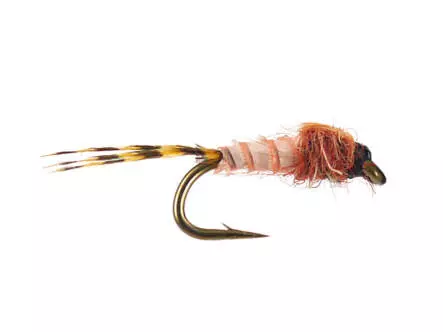 Olive Neanid Serie 02 - Tan