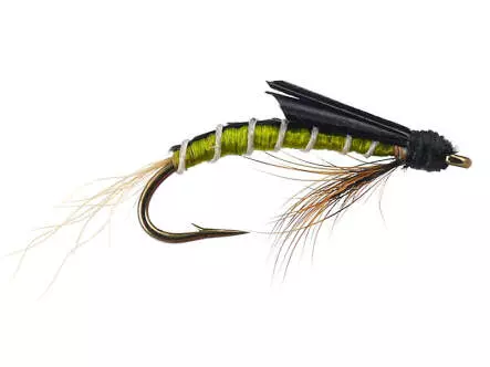 Olive Swimming Nymph - Medium Olive