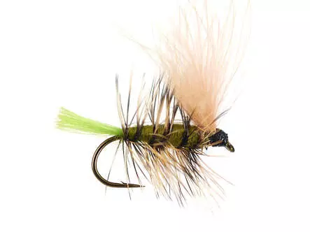 S7 Skating Sedge 01