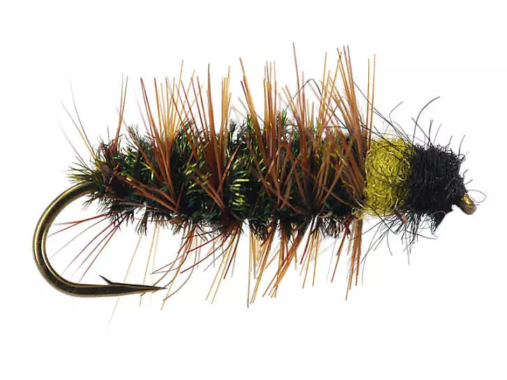 Classic Peeping Caddis Variant II 10