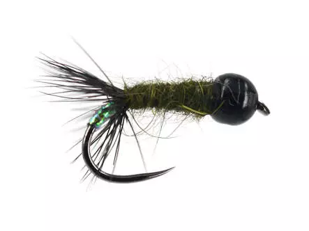 Ales TG Dark Olive  Cased Caddis BL