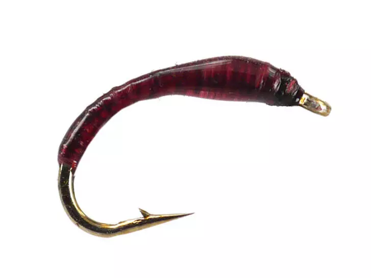 Dark Purple Buzzer