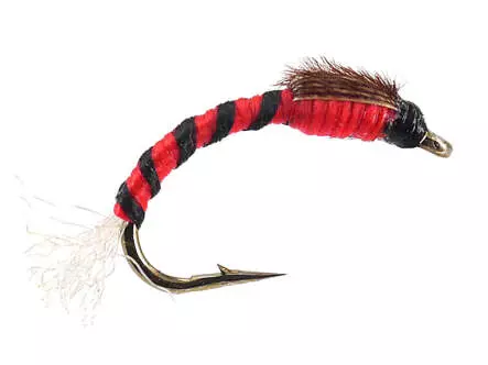 Toms Red Dark UV Buzzer