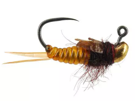 Ales Large Javi TG Stonefly Yellow BL