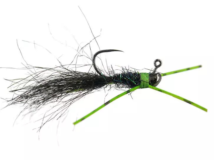 Ales Large Black Dreamer Javi TG BL