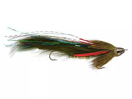 Articulated Olive Wolvering