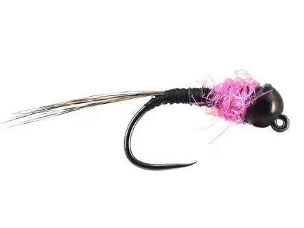 Armandos TG Rainbow Catcher BL