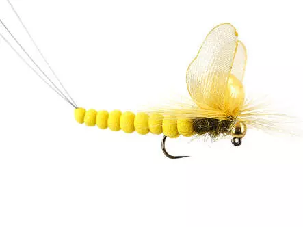 Mayfly Sulphur SPI 8 Barbless